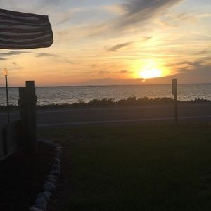 Meet your Posher, Ella